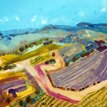 Lavender Fields After Harvest, Provence